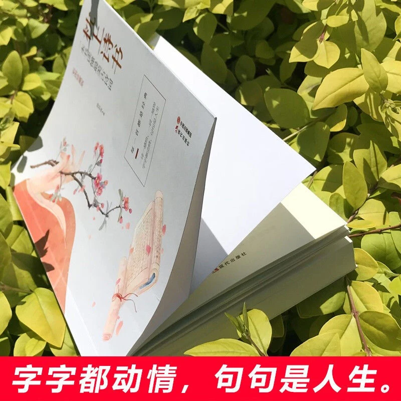 枕上诗书飞花令里读诗词宋词唐诗中国古风书籍大全创作精装国学
