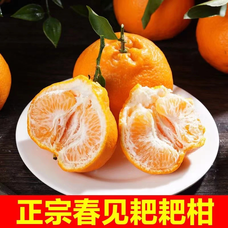 【自然熟耙耙柑】新鲜四川耙耙柑 （酸甜可口）8斤