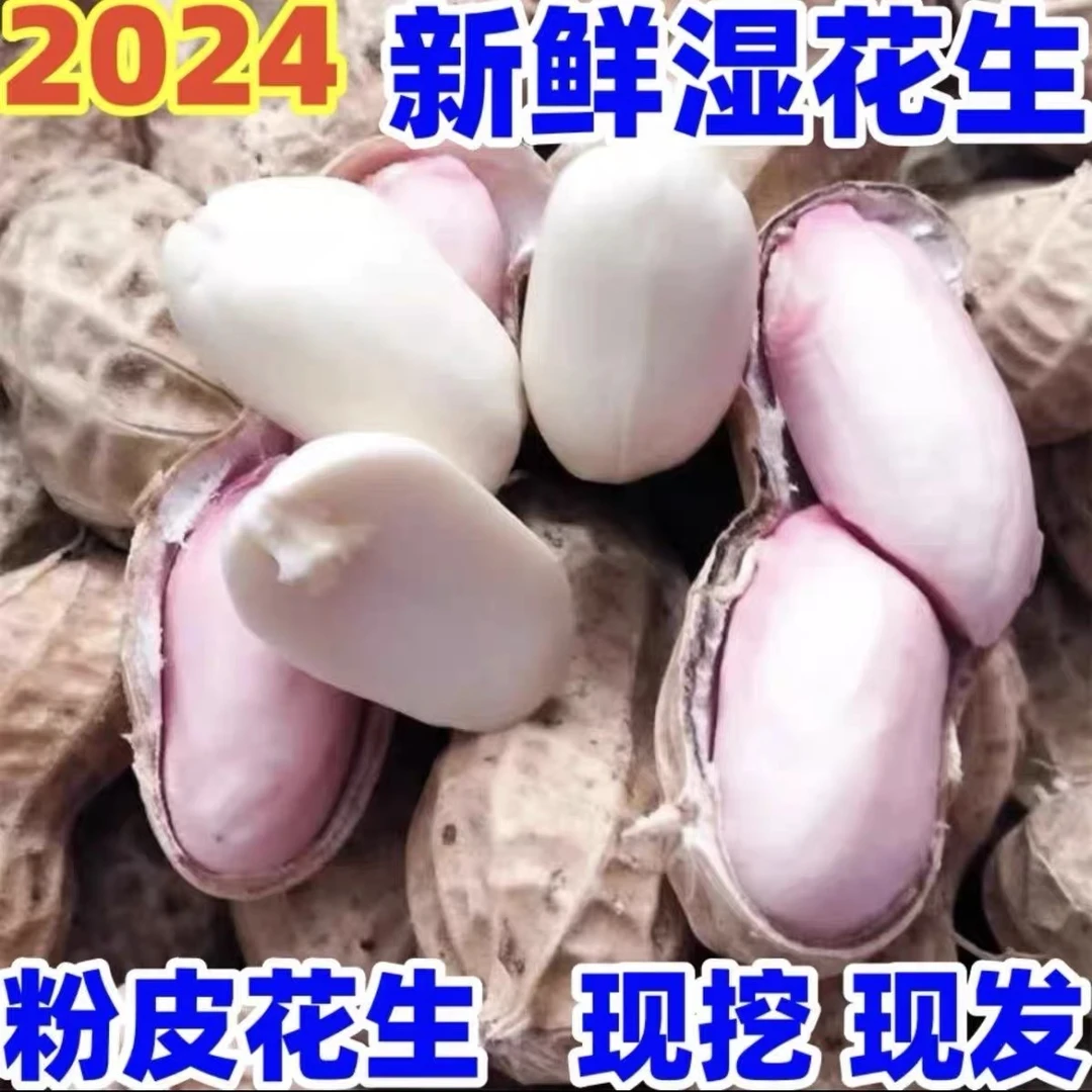 【2024年】头茬农家现挖新鲜粉白皮带壳湿花生可水煮花生0.5/3/5斤