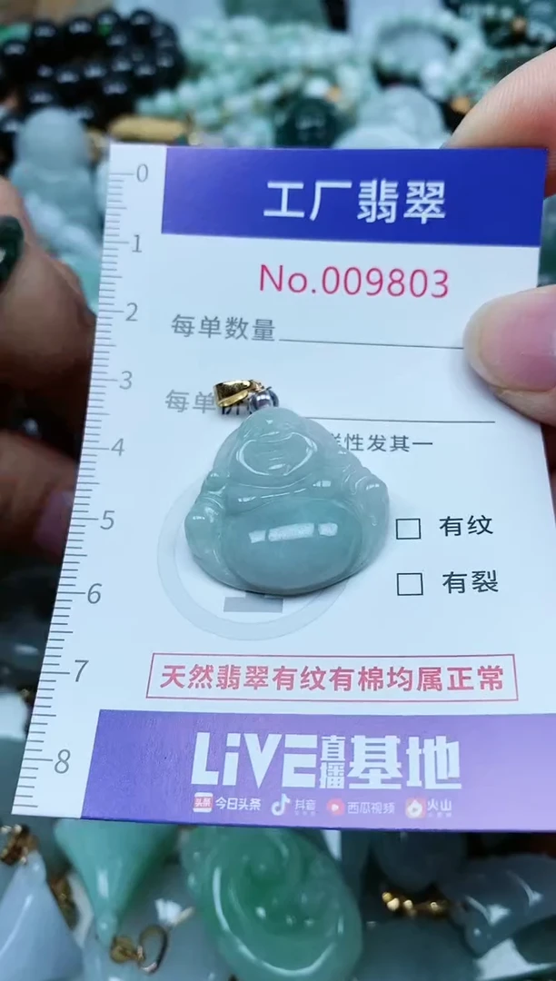 【闪购商品】翡翠颈饰未镶嵌翡翠