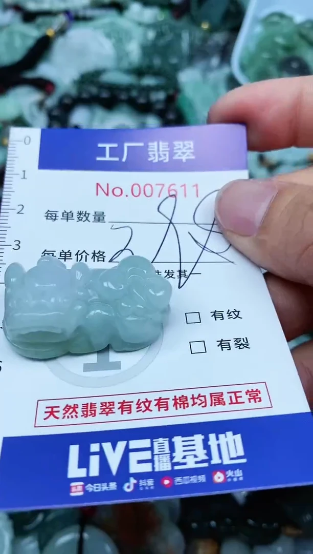 【闪购商品】翡翠颈饰未镶嵌翡翠