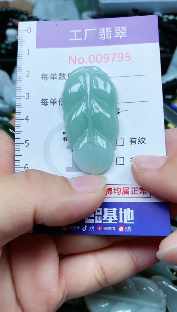 【闪购商品】翡翠颈饰未镶嵌翡翠