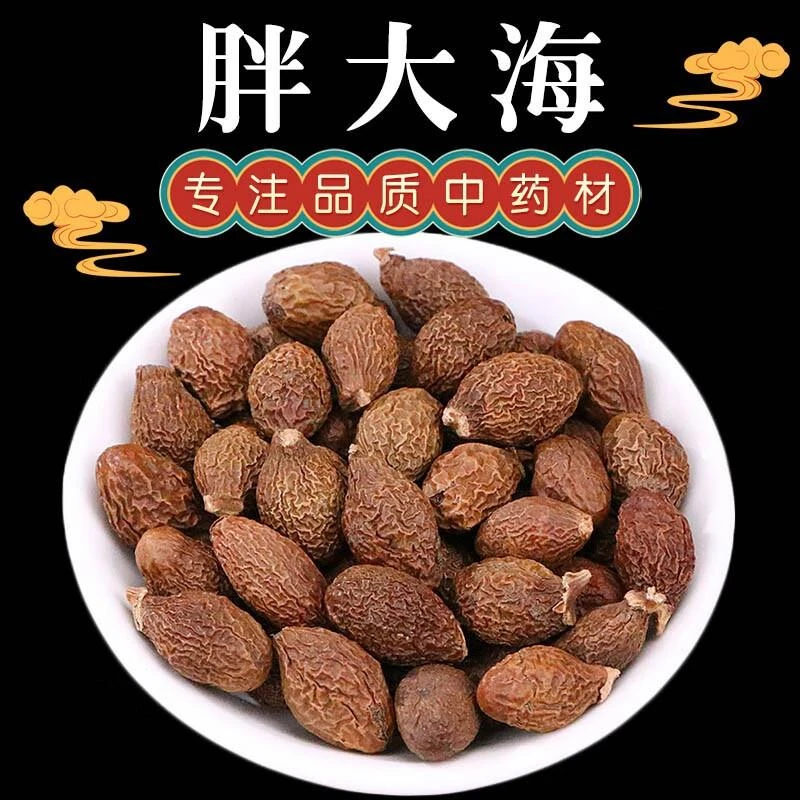 胖大海果中药泡茶中药材正宗胖大海罗汉果金银花甘草菊