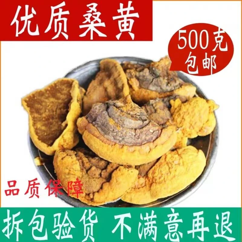 桑黄野生500g桑树桑黄菌桑黄茶中药材店铺西藏自治区 1