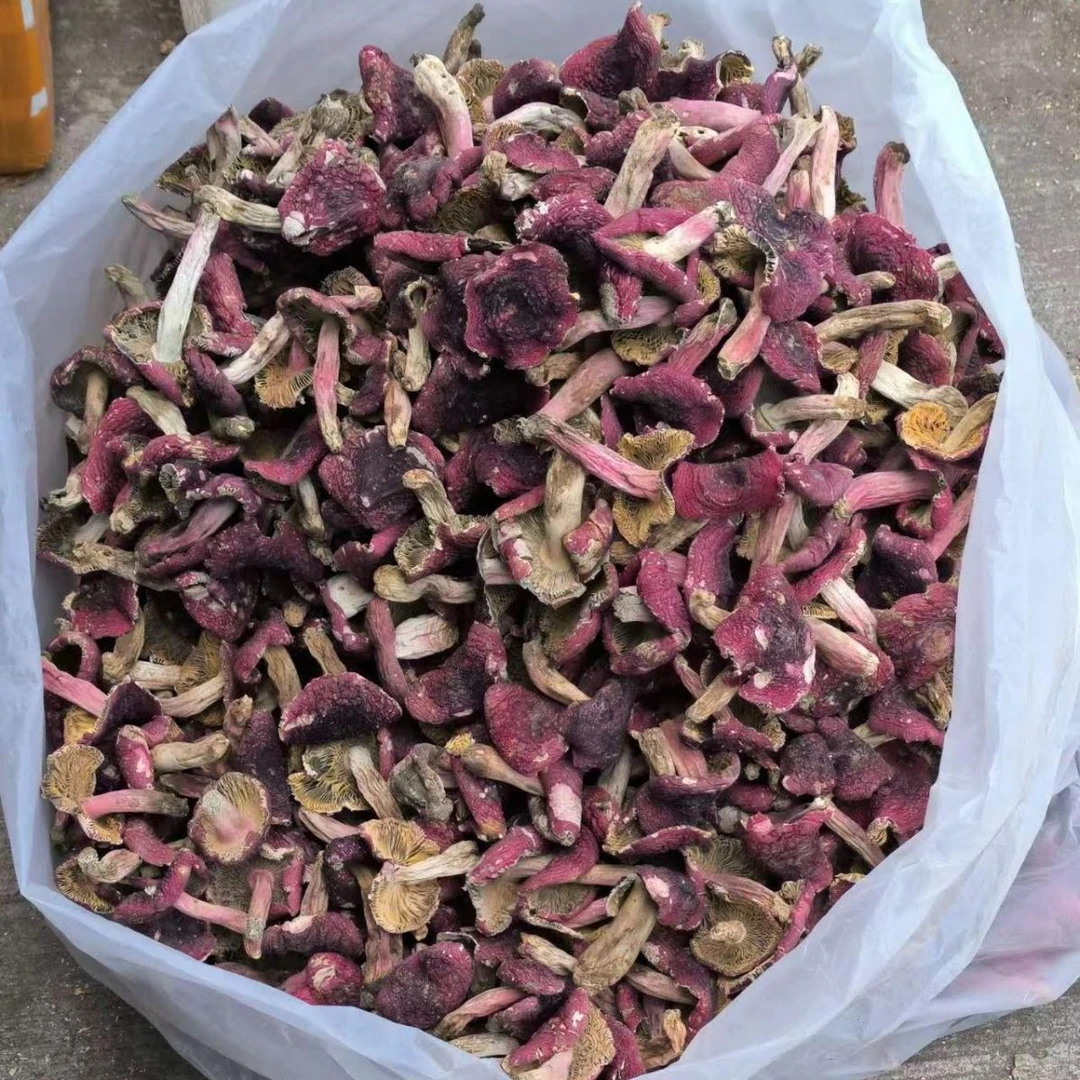 云南腾冲野生红菇(自然晒干)