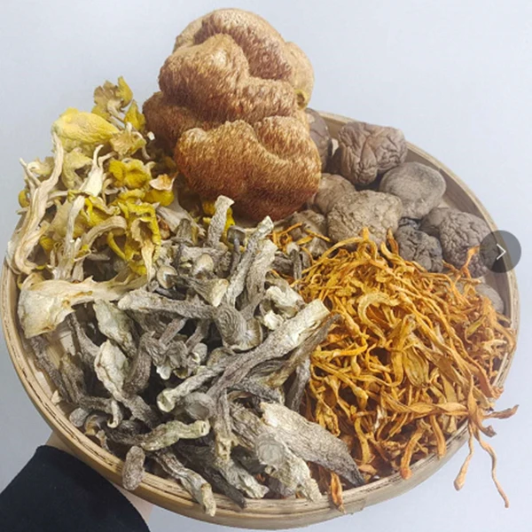 炖汤菌菇五种菌500克共5包猴头菇 鹿菇  虫草花  香菇 榆黄蘑散装