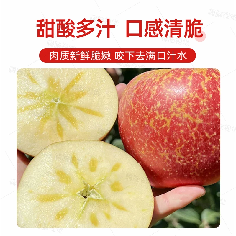 精选昭通糖心苹果新鲜水果脆甜多汁现摘现发5斤装营养自然直供