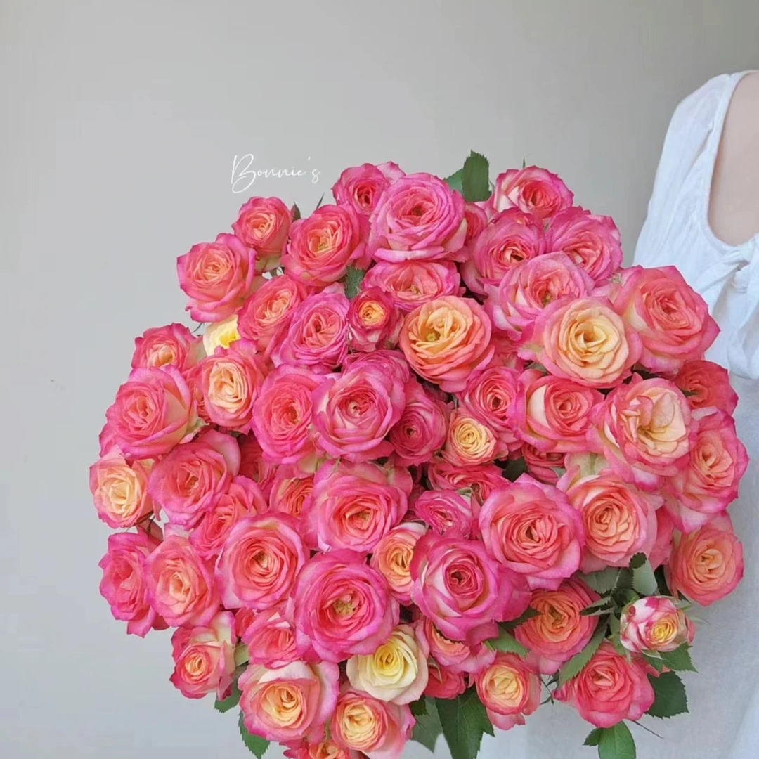 【顺丰发货】爱丽丝多头玫瑰鲜花1-4单一个运费自选品种