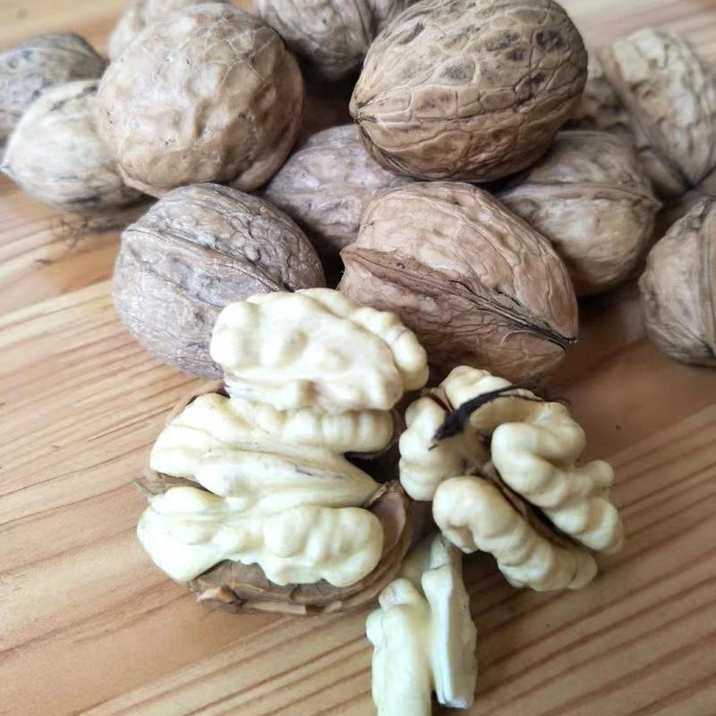 钏钏山货精选【大树核桃】云南山货