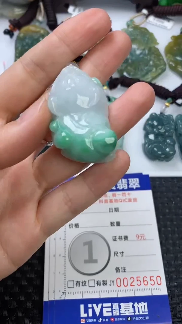 【闪购商品】翡翠颈饰未镶嵌