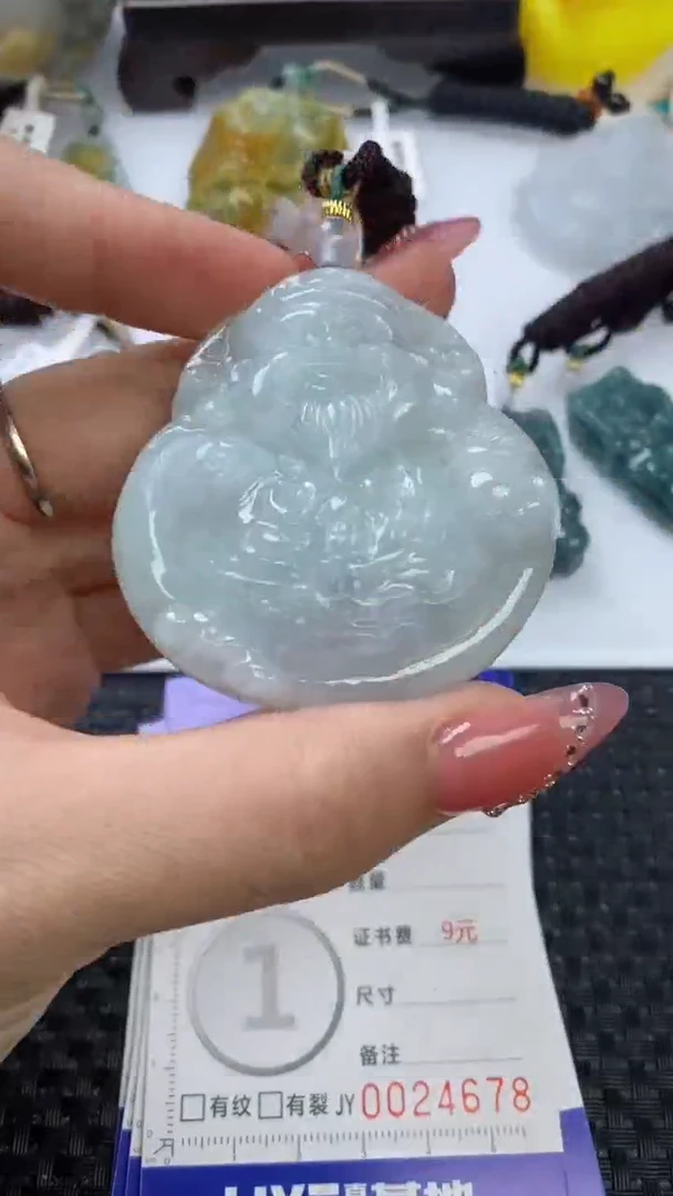 【闪购商品】翡翠颈饰未镶嵌