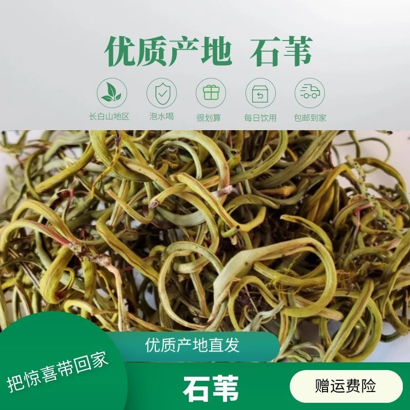 【杨大头】长白山石韦菜 50g/瓶