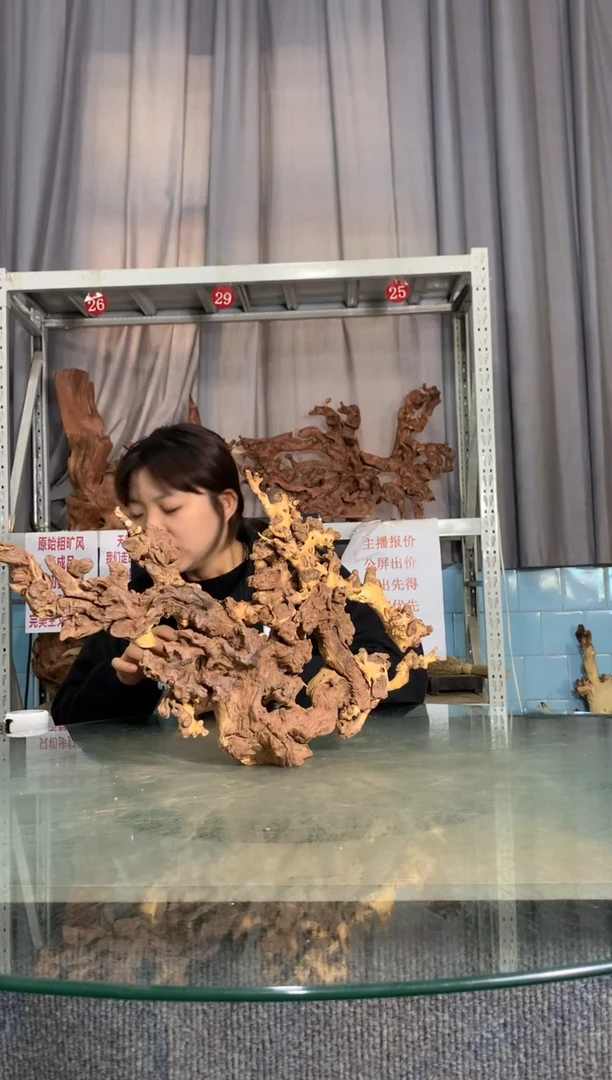 【闪购商品】金丝红木B349