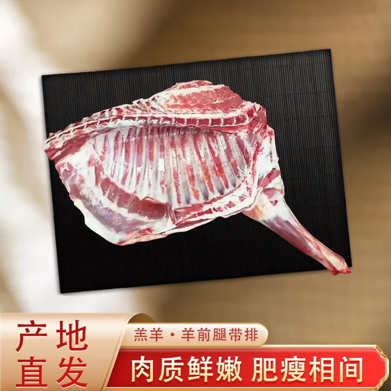 精选盐池滩羊羔羊肉新鲜原切羊前腿带排清炖食材享受美味产地直发