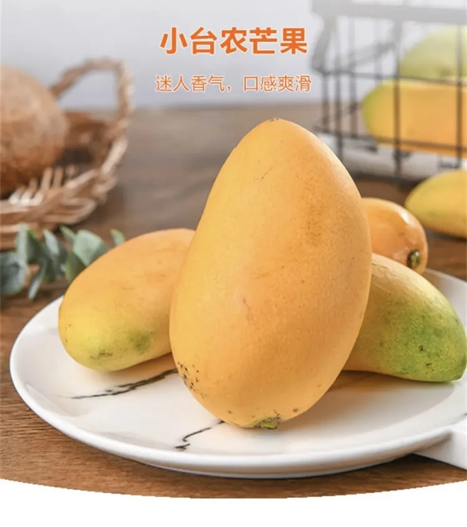 【小台农芒果500g整果】芒果味十足小台芒500g