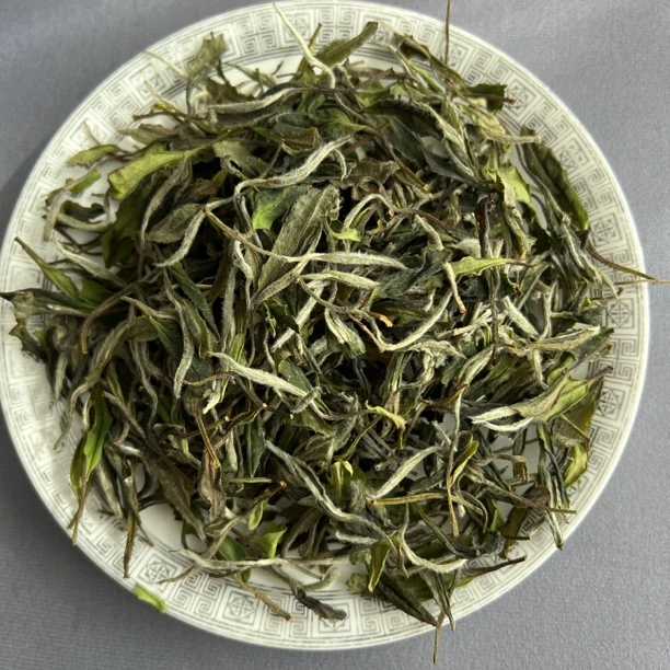 《佳韵》福鼎白茶2023年/高山茶抛荒野茶/花香浓郁 /回甘甜