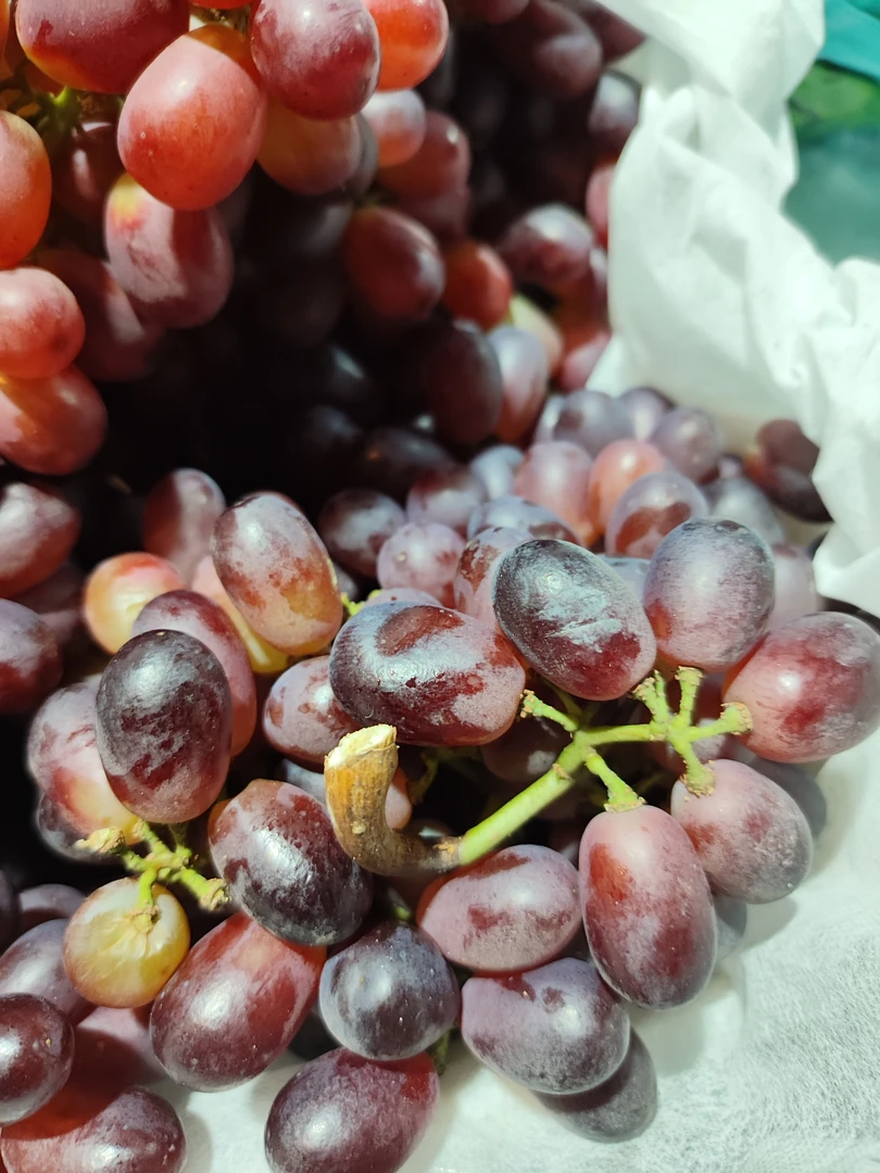 克伦生葡萄5.5元每斤