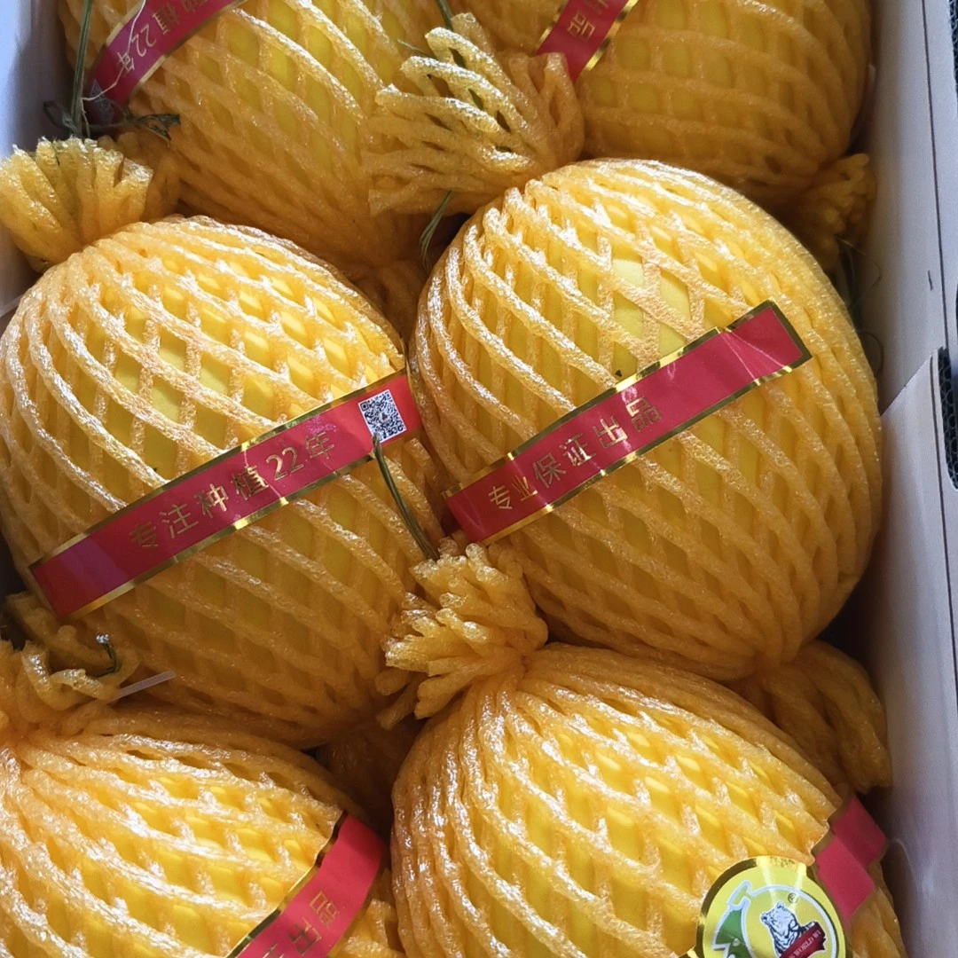 【京东同城】海南王品蜜瓜到手6.5公斤