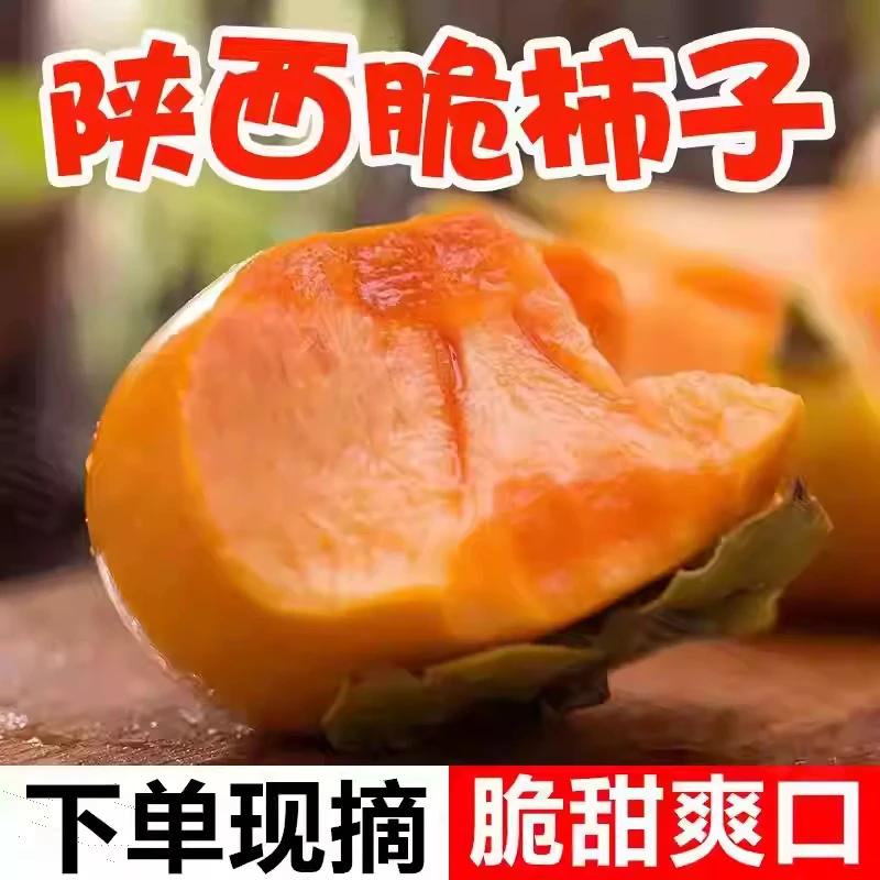 尝鲜！ 陕西富平巧克力脆柿子 新鲜水果脆甜硬柿子甜脆柿q