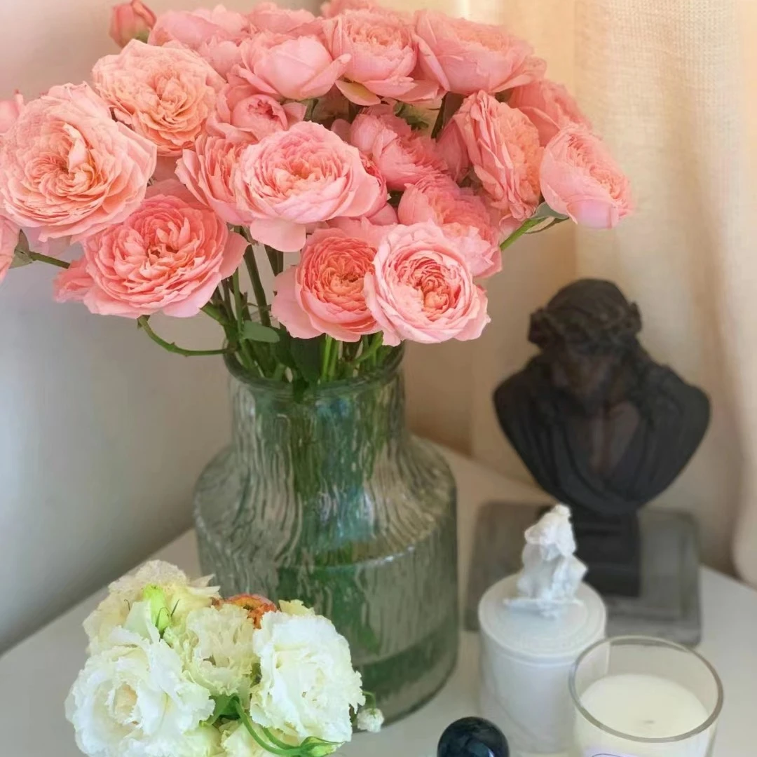 玫瑰大叔 朱丽叶塔 灌木月季 庭院阳台