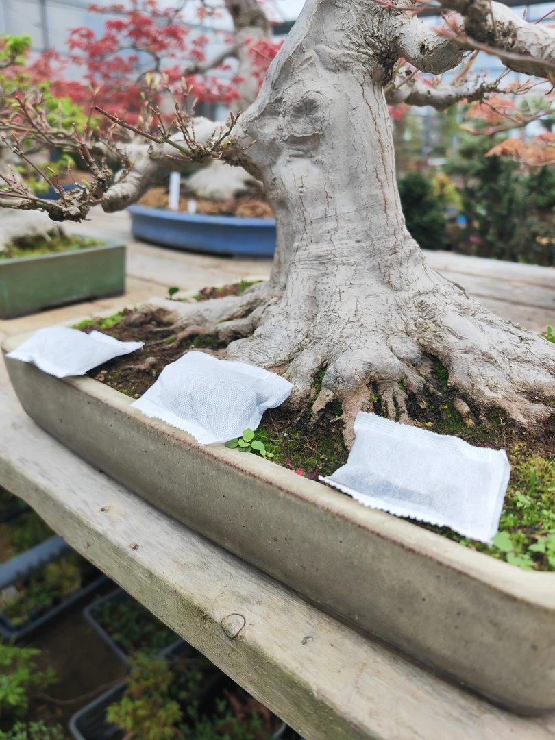 盆景盆栽植物有机肥  小包肥 10小包/袋 松柏花果杂木杜鹃肥 包邮