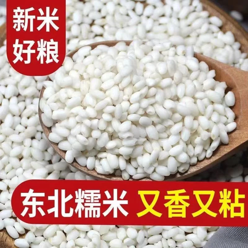 【2025现磨新米】东北香糯米（1）东北圆粒糯粘酿酒糯米新米粽子江米