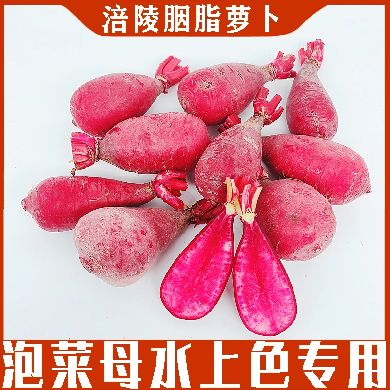 【新鲜红心萝卜】胭脂萝卜重庆涪陵红心萝卜泡菜坛腌制泡菜母水