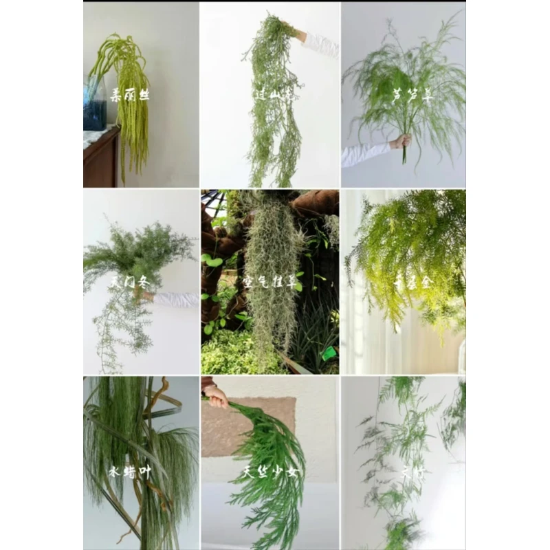 婚礼常用垂感花材