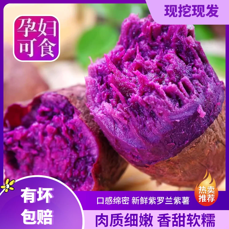 湖北襄阳新鲜紫薯现挖现发软糯香甜紫罗兰紫薯地瓜紫心红薯5斤