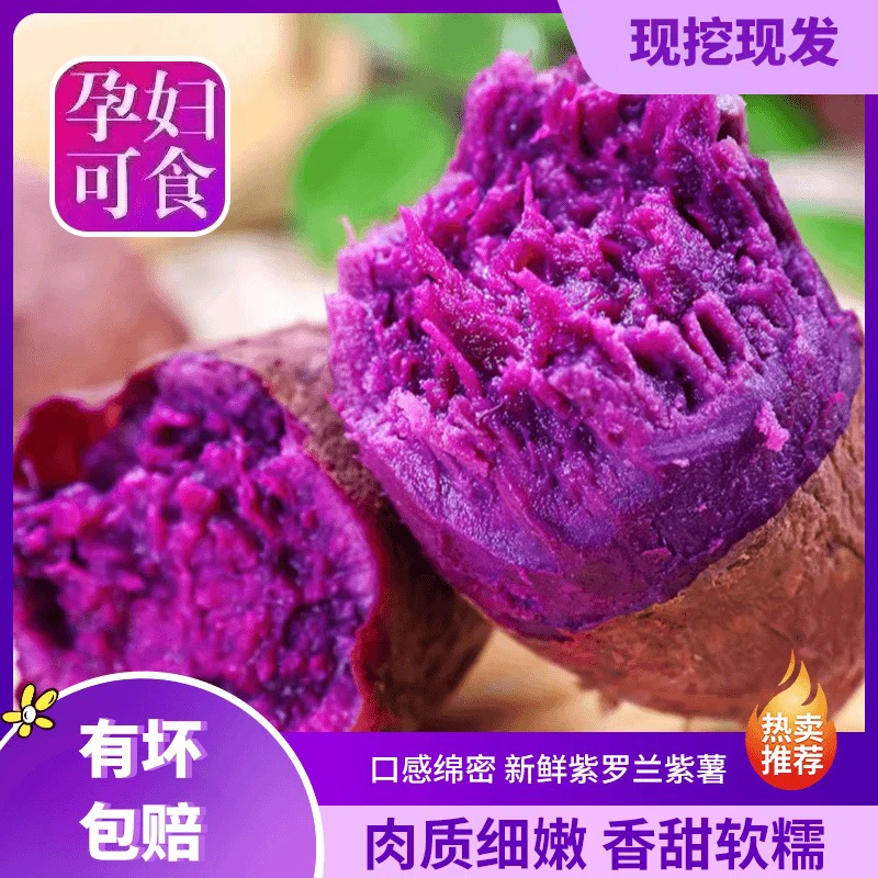 紫罗兰紫薯新鲜新品沙地种植甜糯无丝番薯新鲜紫薯