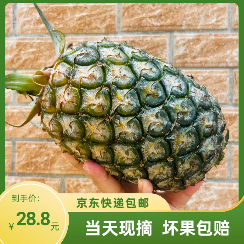 新鲜热带水果凤梨圆墩甜单个尝鲜装切开即食3.5斤包邮观赛搭子
