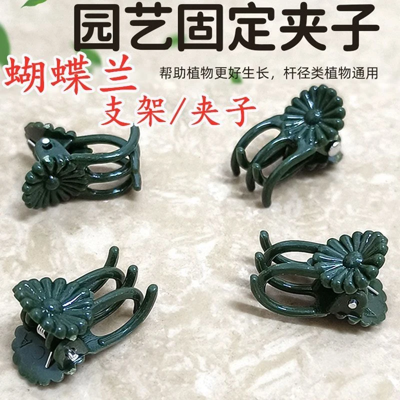 蝴蝶兰专用夹子兰花固定夹子书本夹子爬藤植物固定夹造型