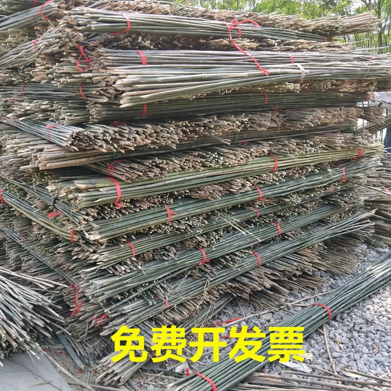 虓枭菜架竹竿菜园搭架蔬菜架爬藤青竹旗杆篱笆竹杆黄瓜豆角豇豆架