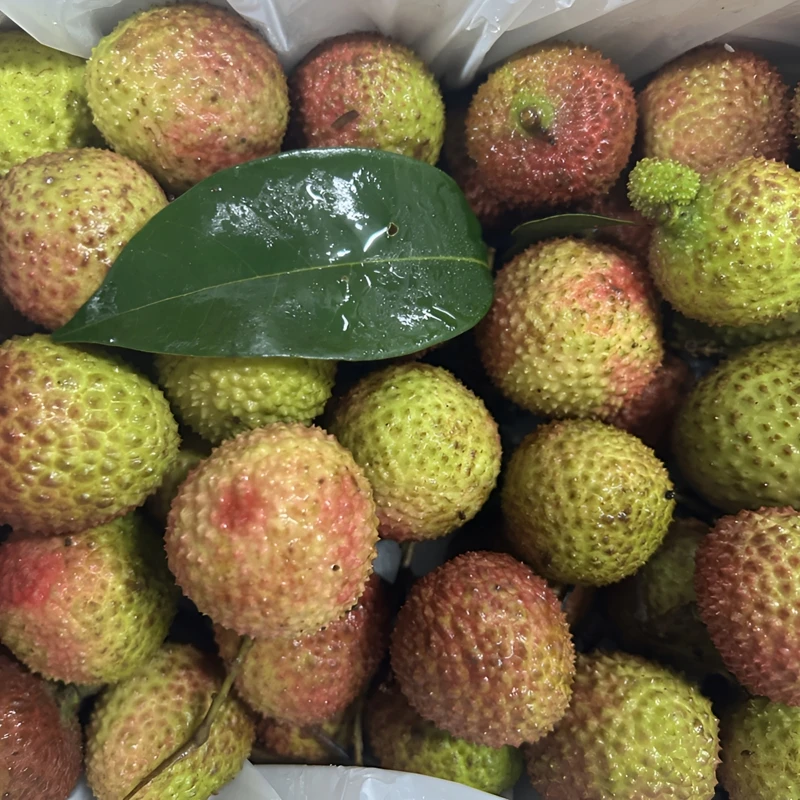 【百大合家康】妃子笑精品荔枝 3斤装 新鲜应季水果 水嫩多汁