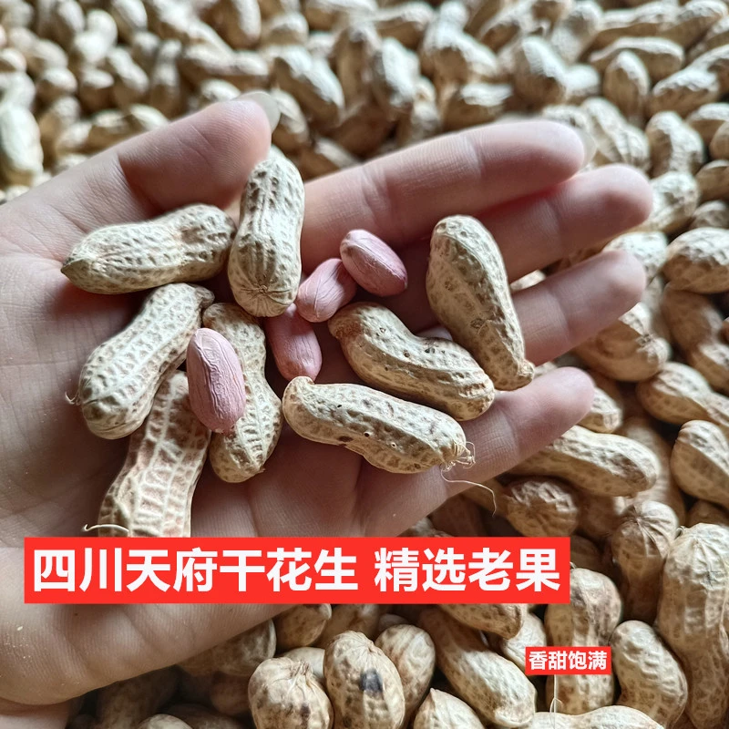 202024天府干花生粉皮花生米粒饱满生吃新鲜生花生1斤2斤3斤5斤