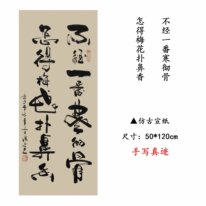 《不经一番寒彻骨》客厅玄关毛笔字手写真迹字画书法作品行书挂轴