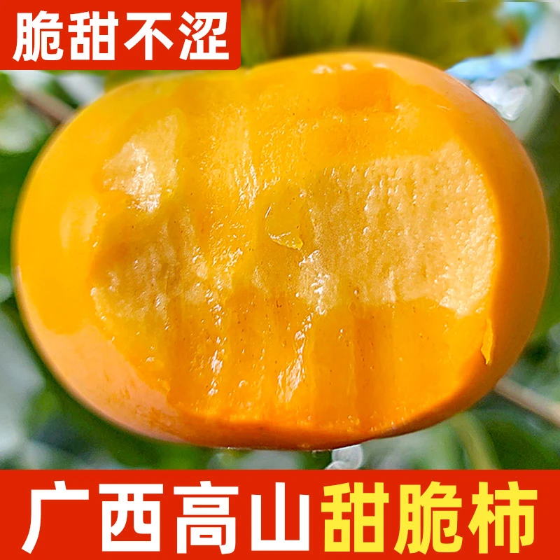 【脆甜不涩】广西桂林巧克力脆柿子甜脆柿脆柿硬柿新鲜水果4.5-9斤