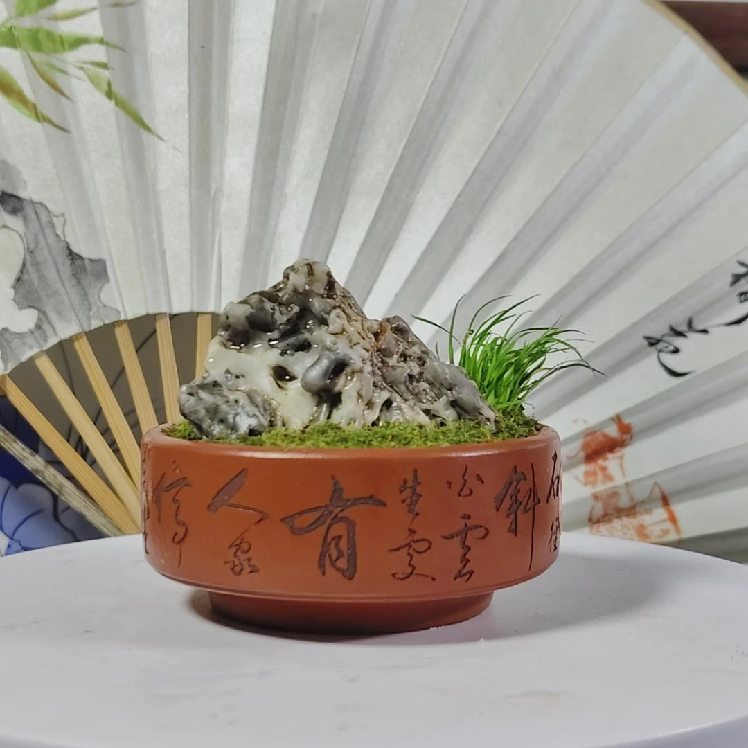 盆景，菖蒲，风凌石
