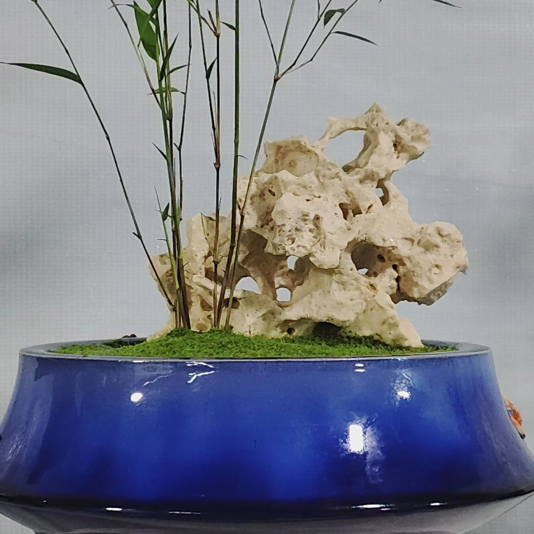 内门竹，太湖石，，，，，，，禪