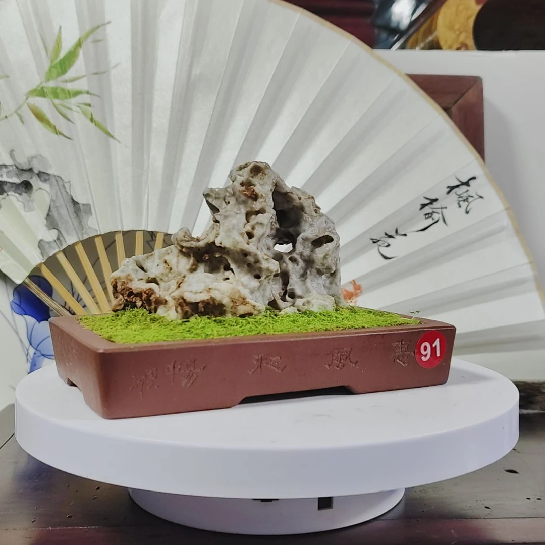 盆景，苔藓，玲珑石黄*慧