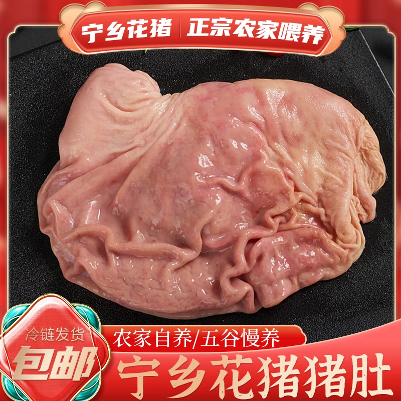 宁乡花猪正宗农家土猪肚猪胃猪肚胃1到2斤包邮