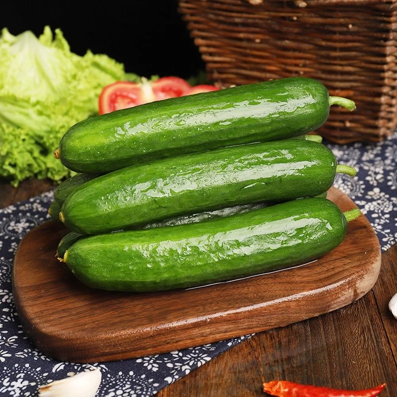 水果黄瓜新鲜时令应季即食现摘新鲜小青瓜生吃孕妇水果蔬菜整箱仙