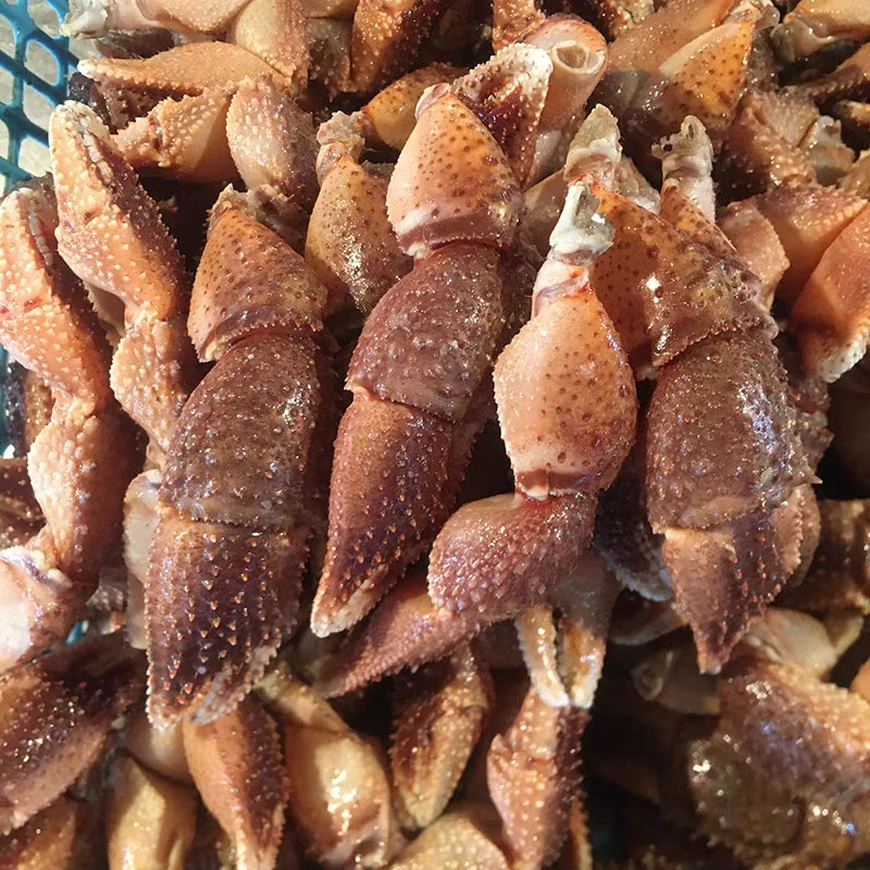 【2斤】新鲜冷冻野生海捕虾怪腿海怪腿蟹钳寄居蟹腿【顺丰包邮】