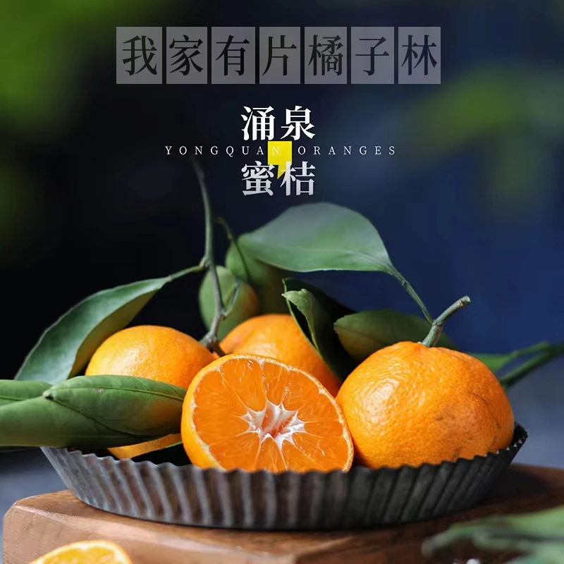 《正宗临海涌泉高山蜜橘 》无核橘子孕妇小孩果蜜桔5/10斤现摘现发