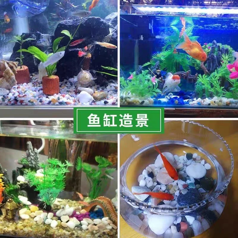 天然鹅卵石多肉铺面石子造景底砂花盆栽装饰五彩色溪流石头子