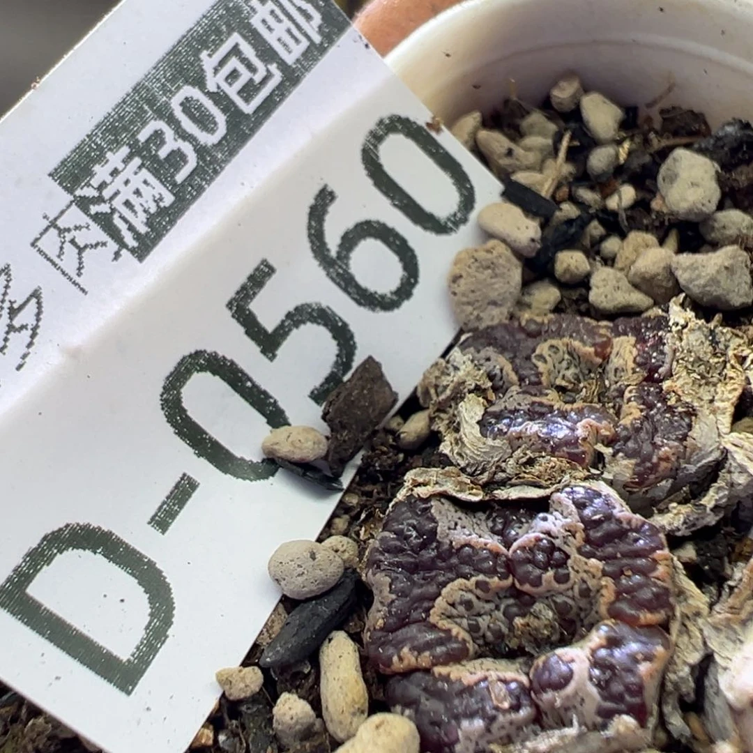 1111111111111111111111111111