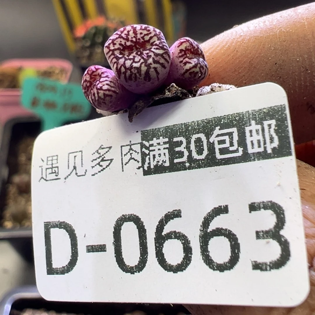 老****年11111111111111111111111