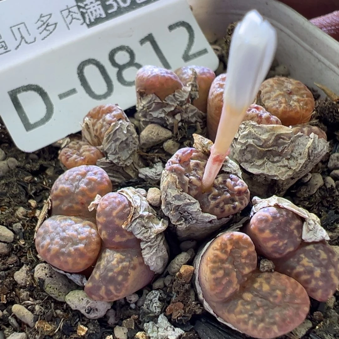 111111111111111111111