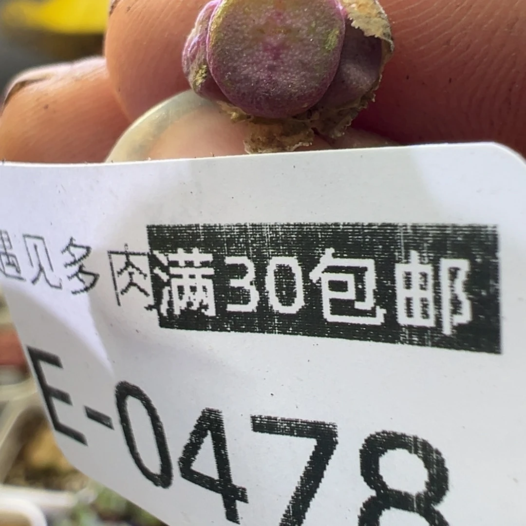 1111111111111111111111