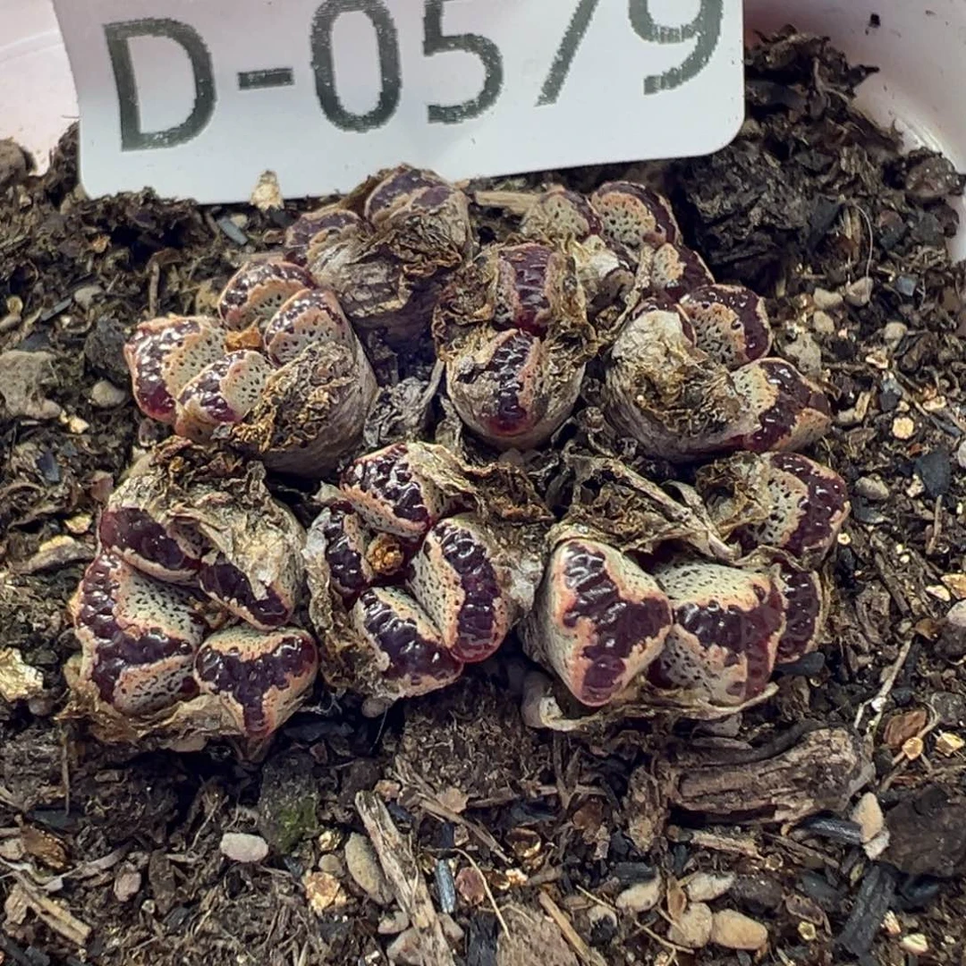 1111111111111111111111111111